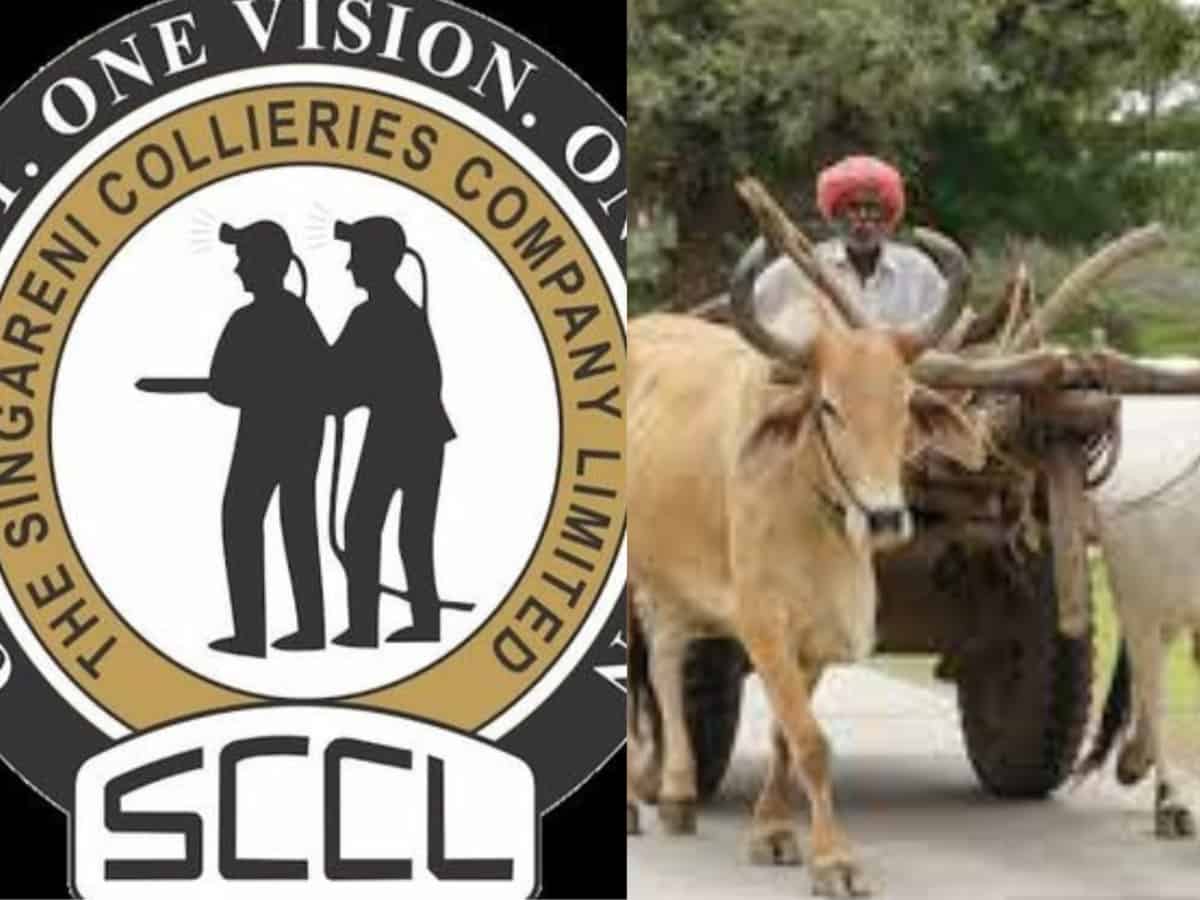 Telangana: Farmer booked after his oxen urinate at SCCL GM office