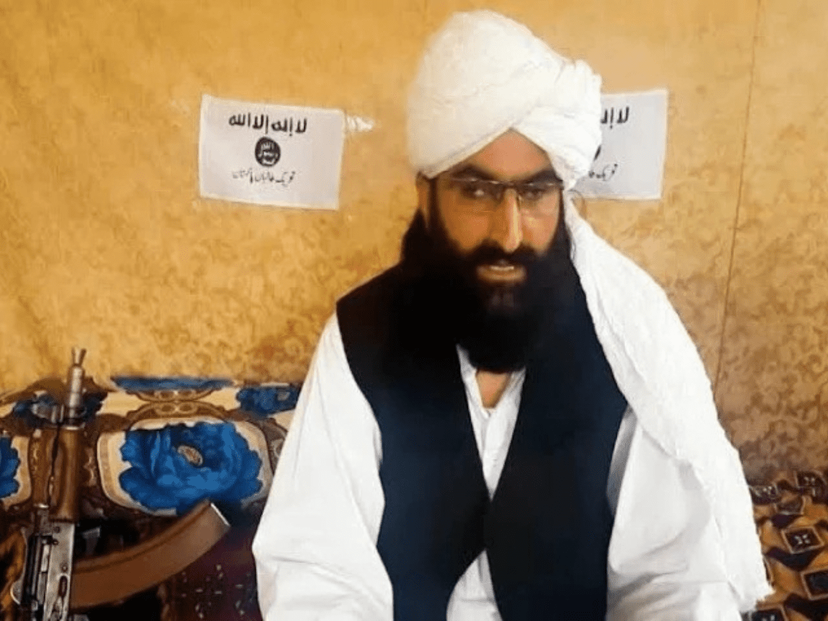 We're fighting Pakistan's war from within the territory of country: TTP chief