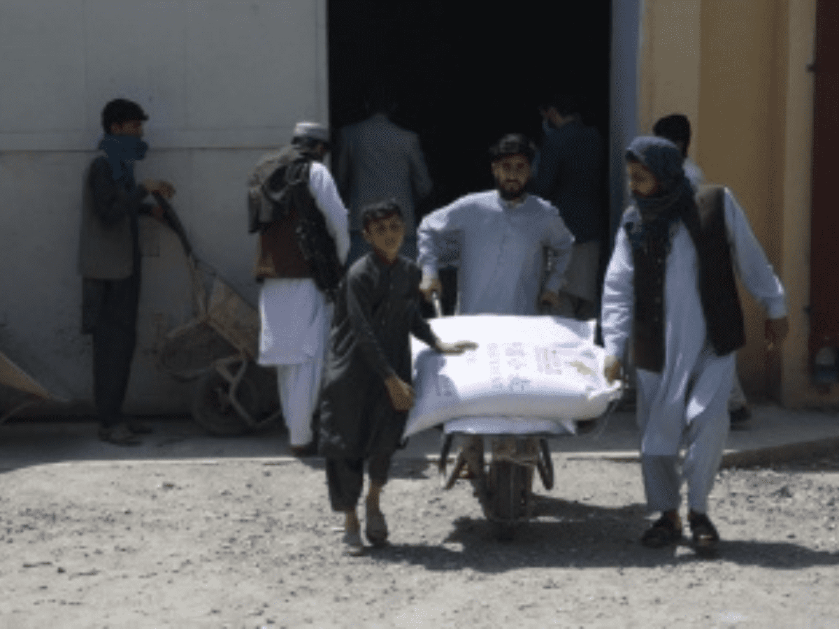 UN committed to delivery of humanitarian aid in Afghanistan: Envoy