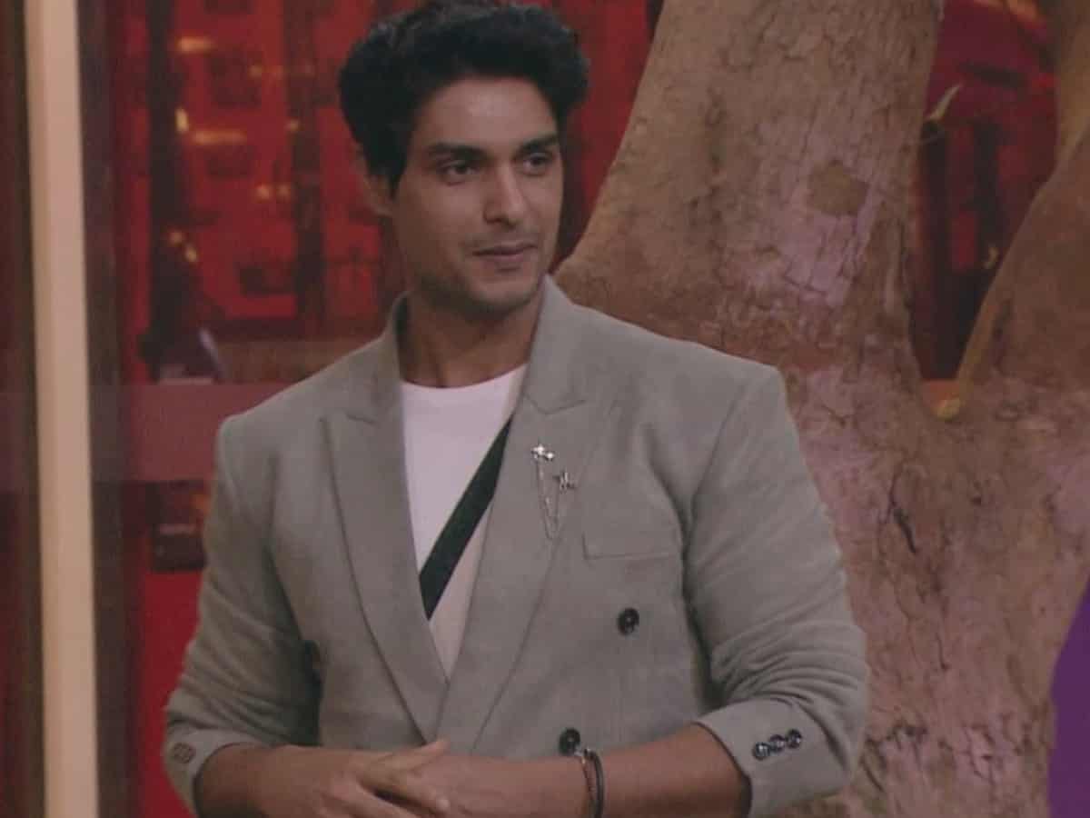 Bigg Boss 16: Ankit Gupta's total earnings for 12 weeks
