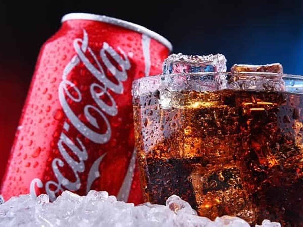Closed down Coke factory property to be given to Kerala govt, protesters up in arms