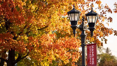 Hamline University