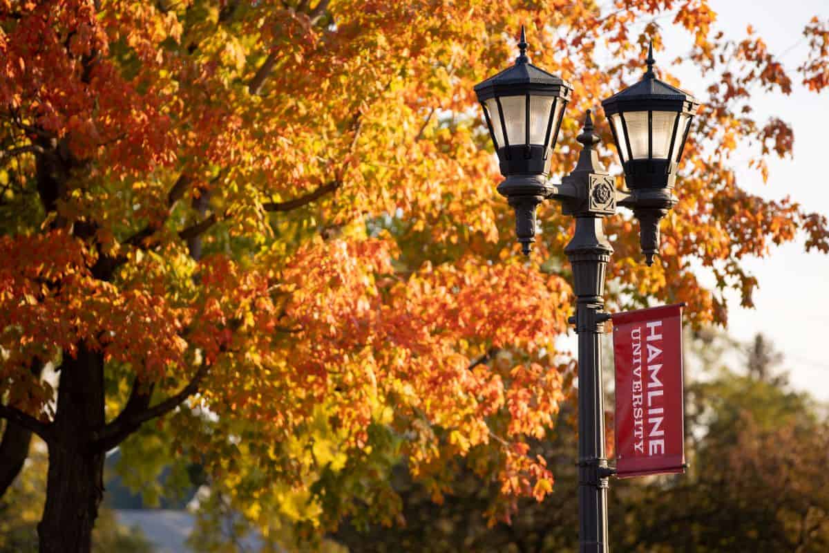 Hamline University