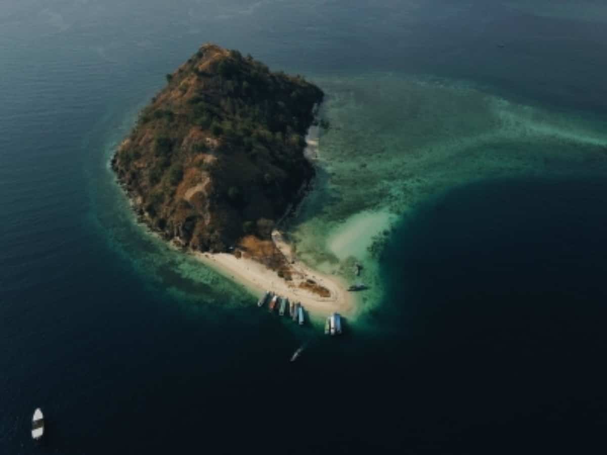 WRI, GEF to host Secretariat to preserve world's 30% land, ocean by 2030