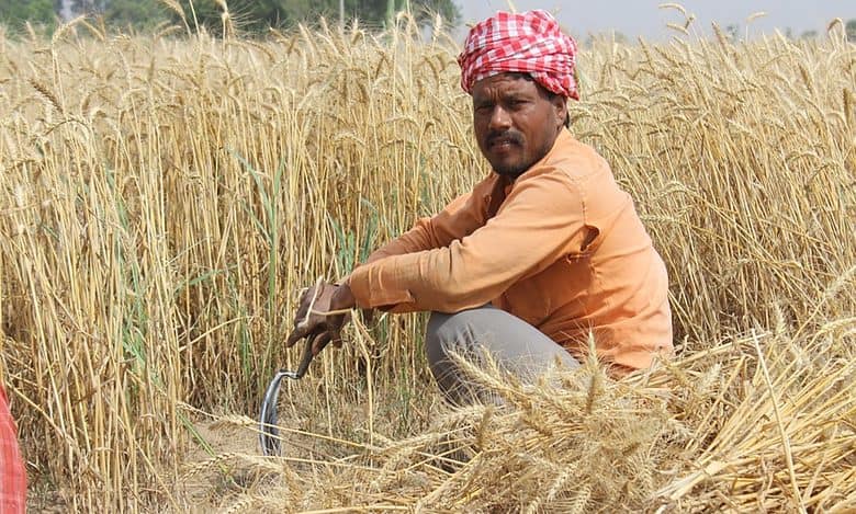 Telangana to lose Rs 840 crore as Centre refuses to extend KMS deadline