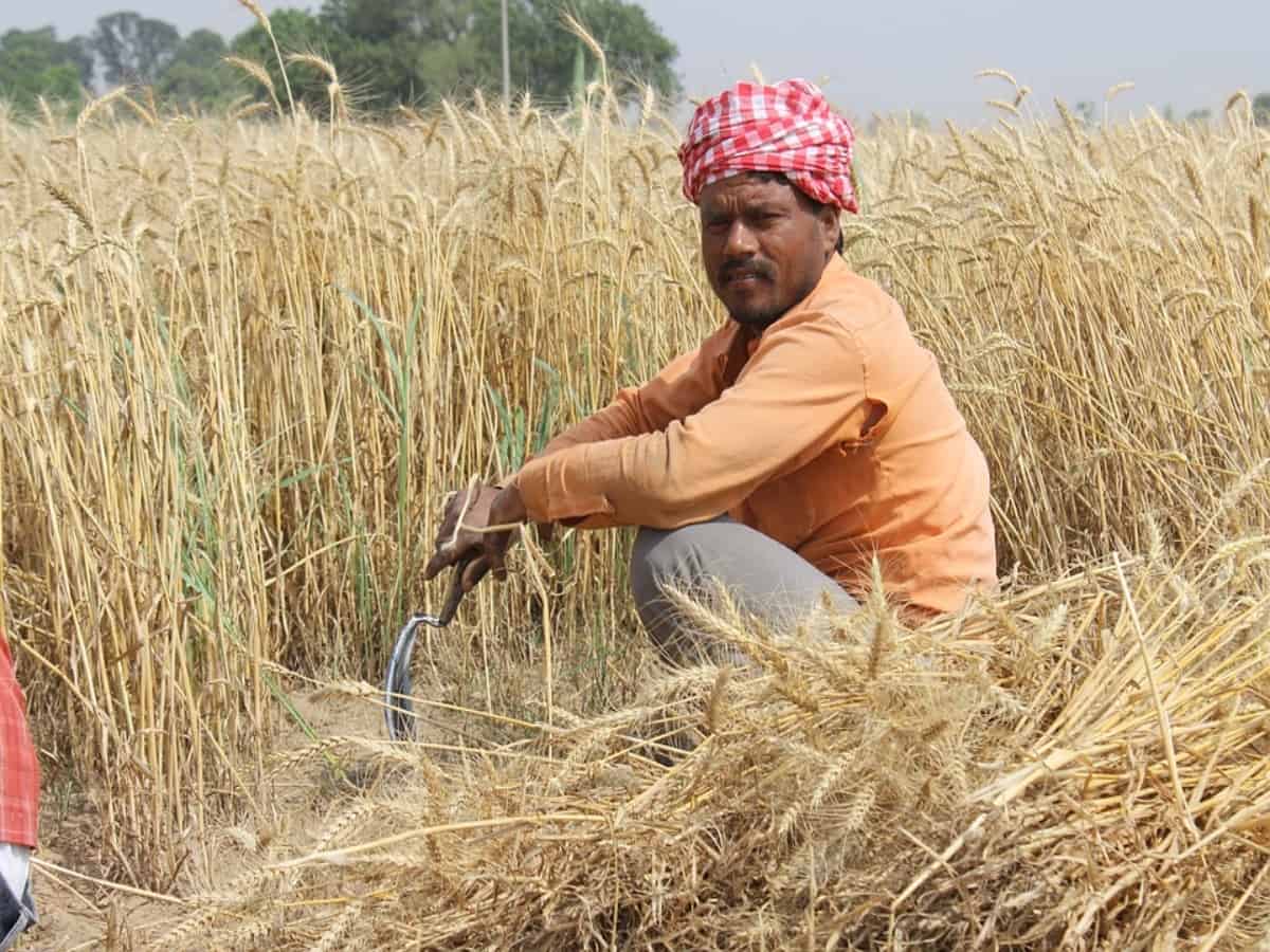 Telangana: Agri Legal Aid Clinic inaugurated to educate farmers