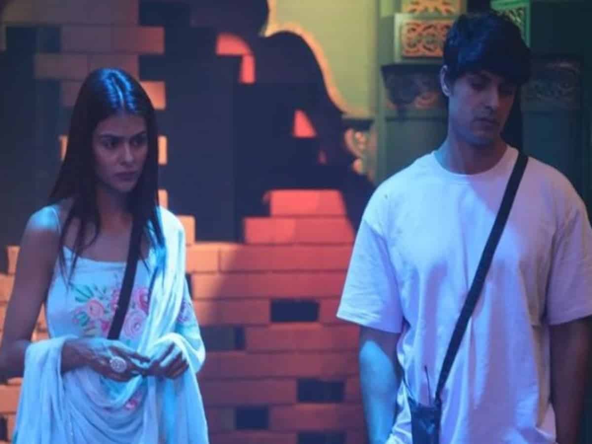 Bigg Boss 16: Priyanka Chahar removes Ankit Gupta from show?
