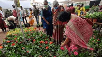 Hyderabad: 13th grand nursery mela begins at People plaza