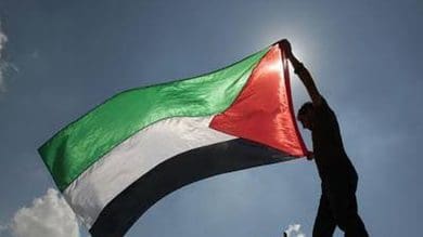 Amnesty International slams Israeli ban on Palestinian flag 'repressive'