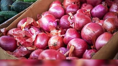Onion prices in hyderabad