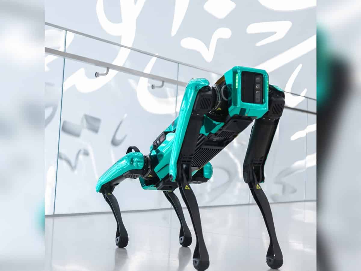 Watch: Robodog joins Dubai's Museum of the Future robot community