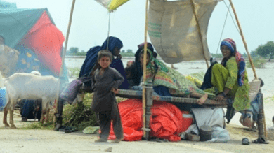 Nearly 8 mn Pakistanis still displaced after summer floods: Diplomat