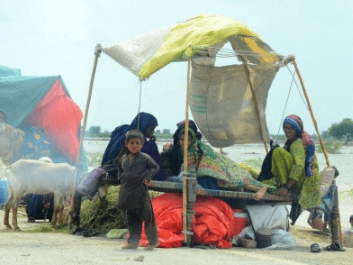 Nearly 8 mn Pakistanis still displaced after summer floods: Diplomat