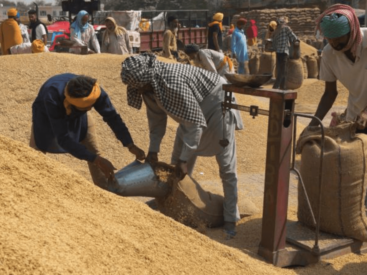 Paddy procurement crosses 700 LMT mark, Rs 1,45,845 crore MSP paid to farmers