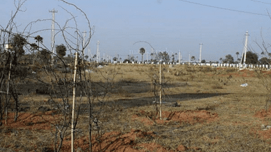Telangana: Survey ordered to identify govt land encroachers in Sangareddy