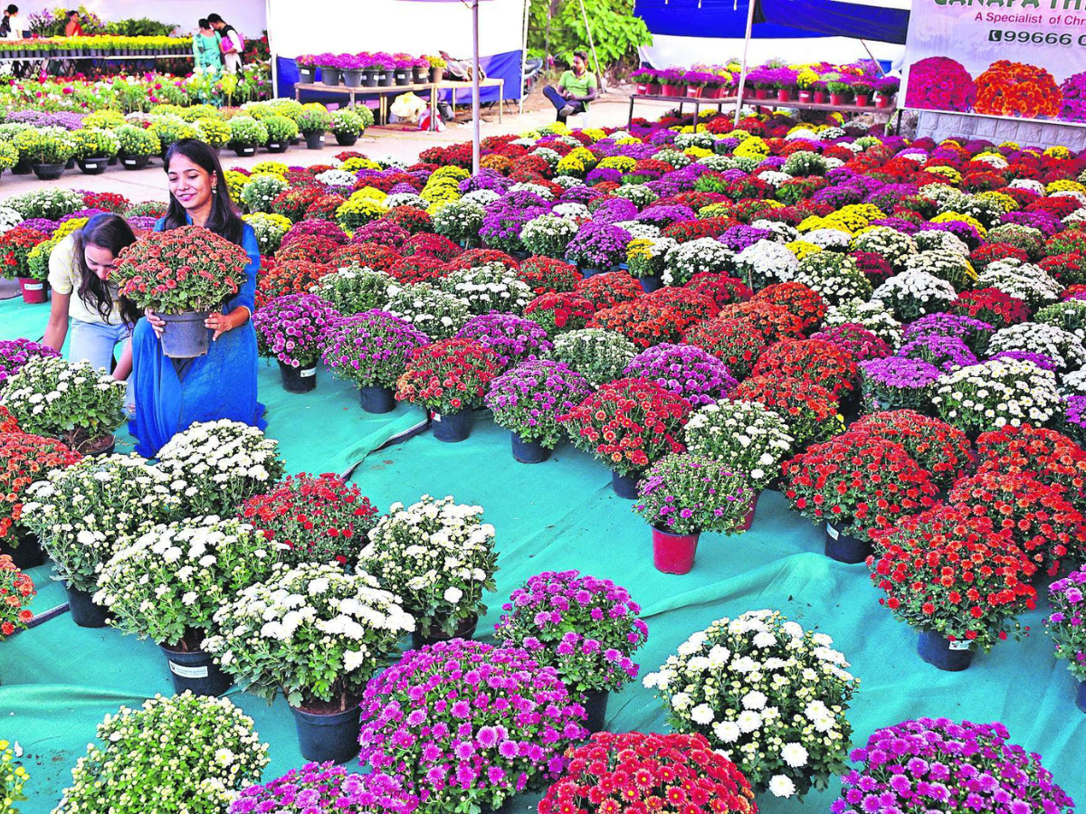 Watch: Farming enthusiasts spend gala time at Nursery Mela