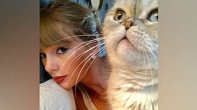 OMG! Taylor Swift's cat worth Rs 800 crore: Reports