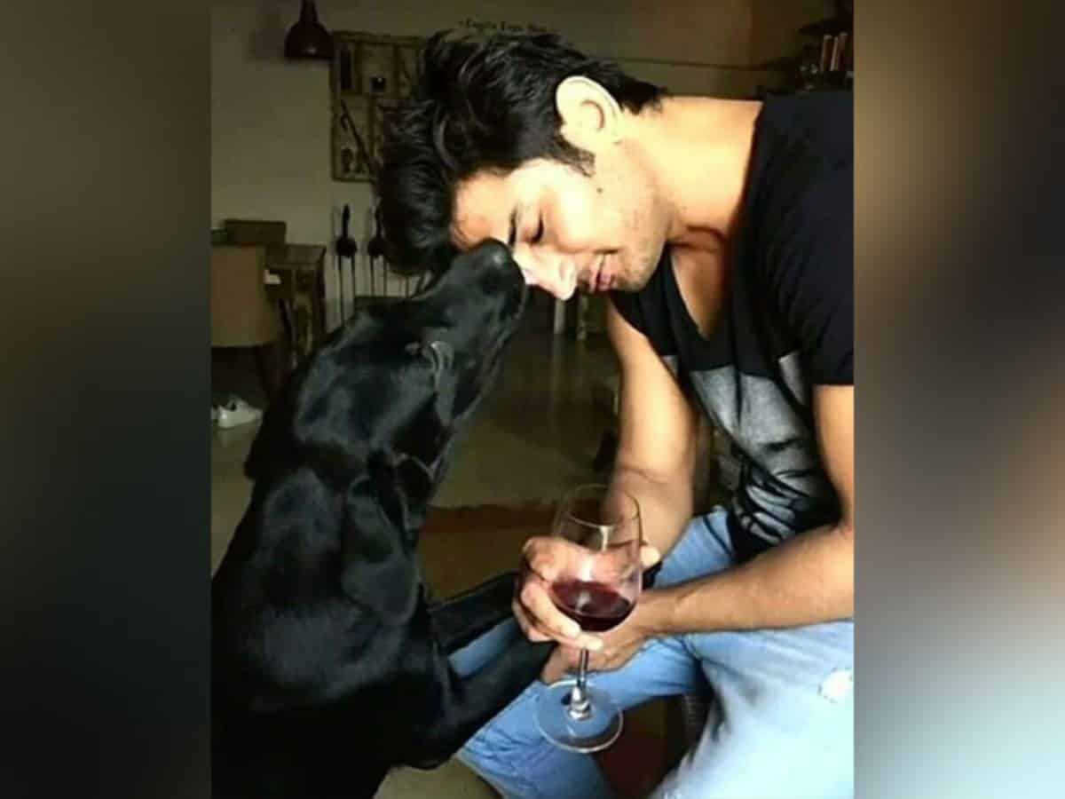 SSR's pet Fudge dies, fans say