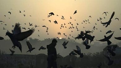 Sweater weather in Hyderabad; cold wave warning in Bandlaguda