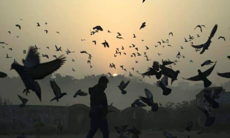 Sweater weather in Hyderabad; cold wave warning in Bandlaguda