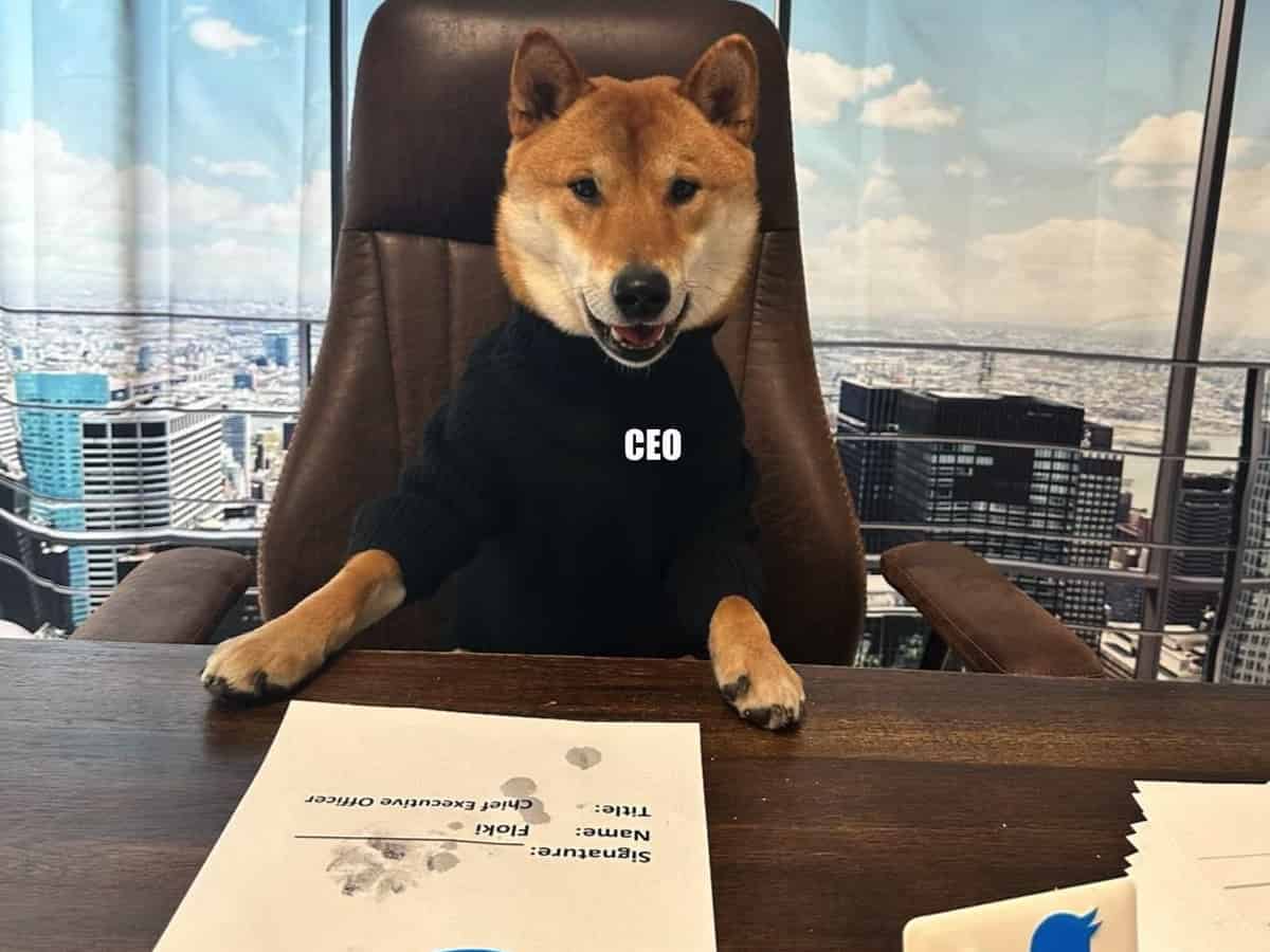 Musk 'hires' his dog as new Twitter CEO