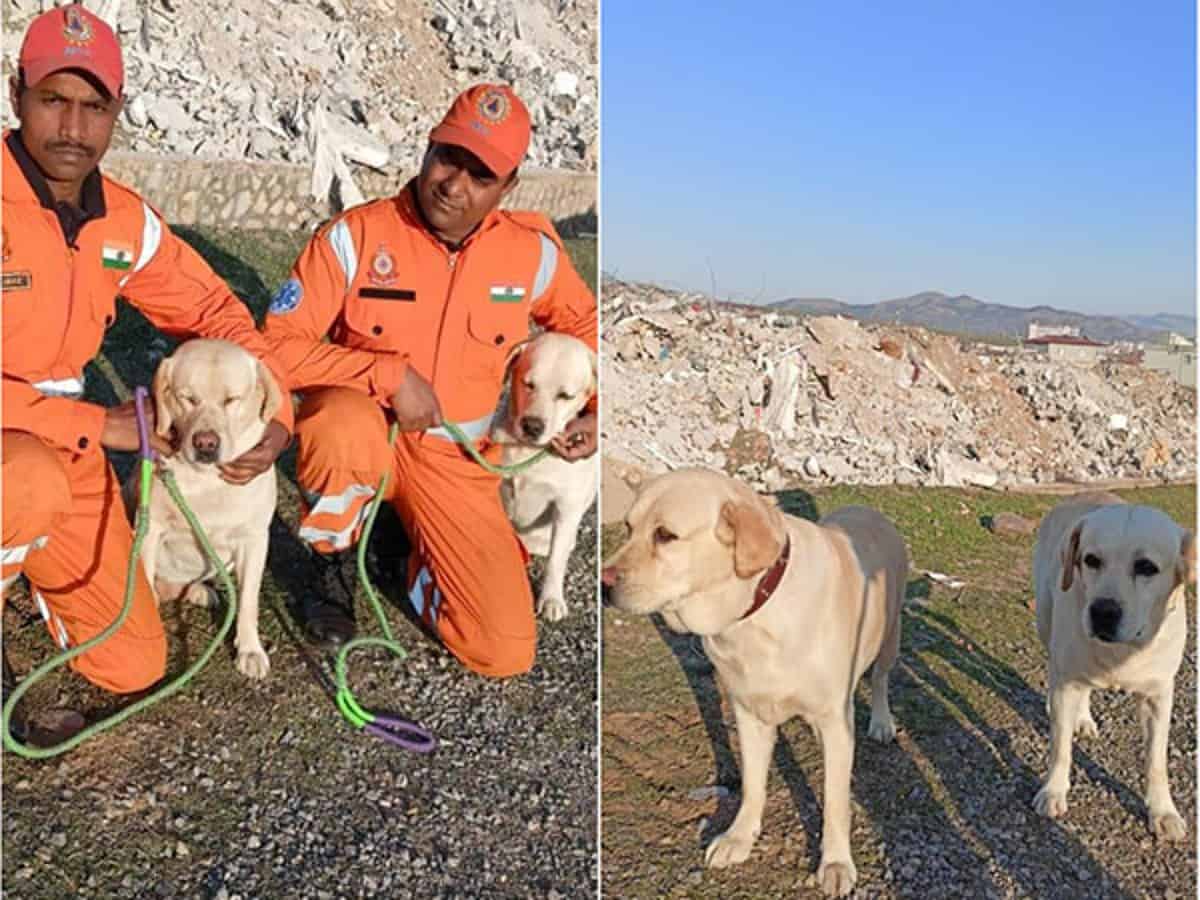 NDRF’s Romeo and Julie save 6-year-old in earthquake-hit Turkey