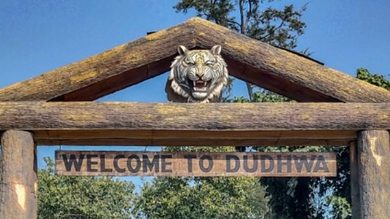 Dudhwa Reserve