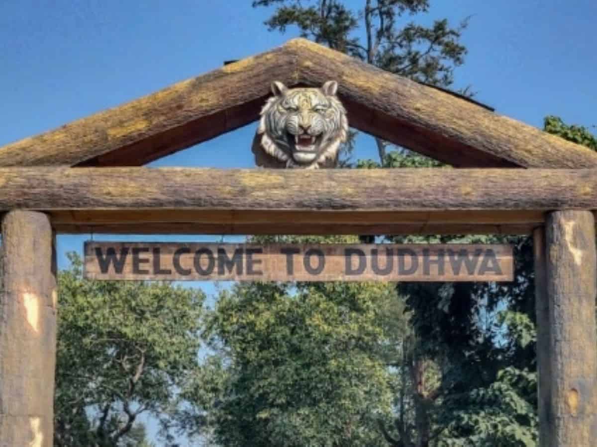 Dudhwa Reserve