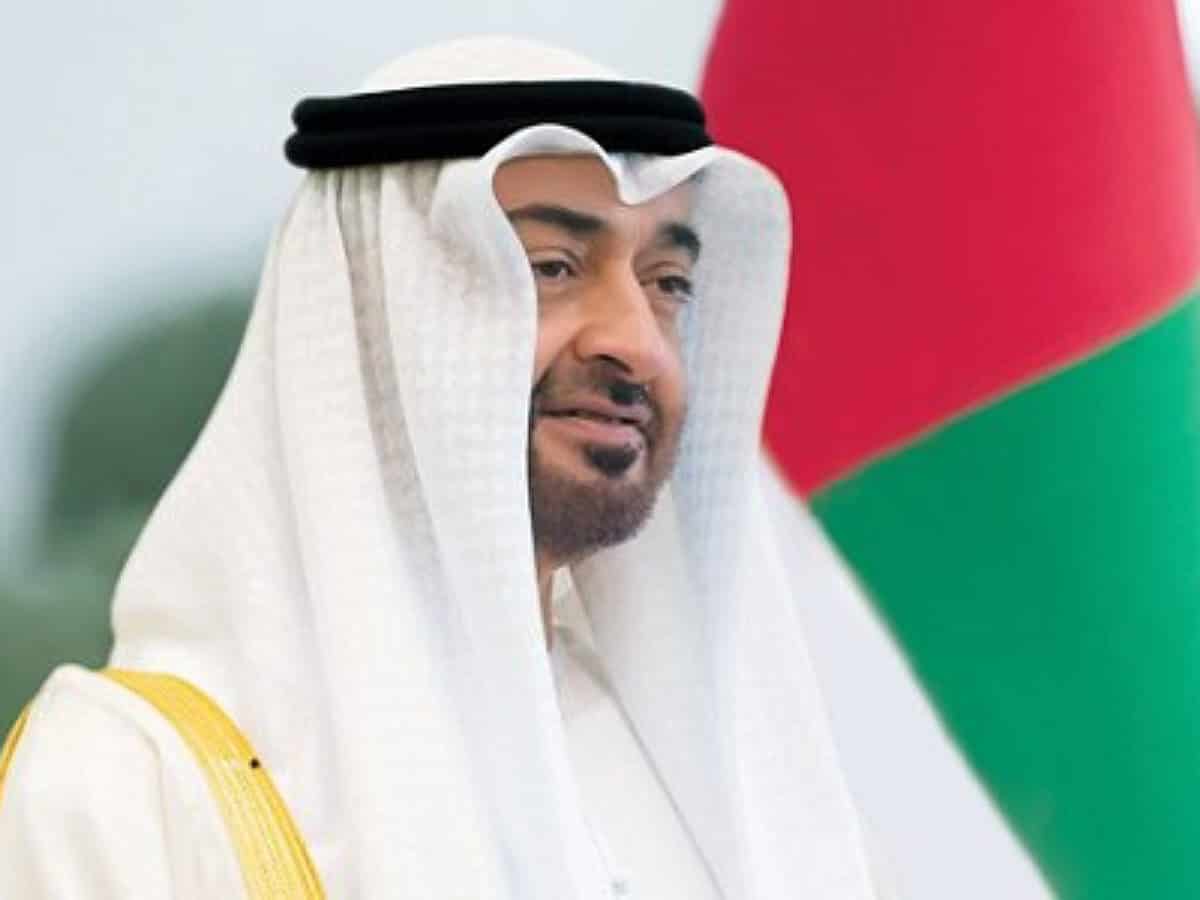 UAE President arrives in Cairo for official visit