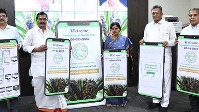 Telangana rolls out mobile app to ease Palm Oil cultivation