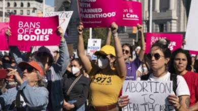 12 US states sue to expand access to abortion pill