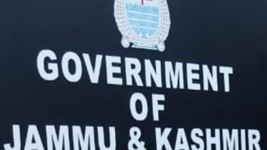 J&K govt dismisses 3 employees for 'anti-national activities'