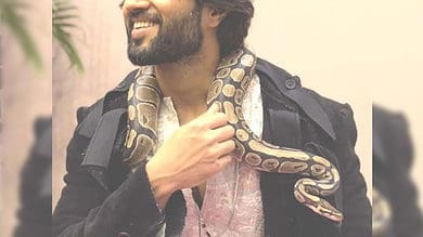 Watch - Vijay Deverakonda photoshoots with huge Python in Dubai