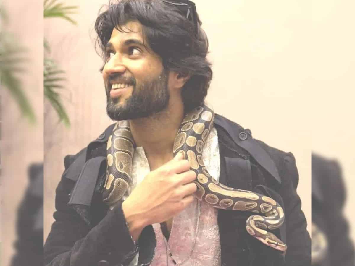 Watch - Vijay Deverakonda photoshoots with huge Python in Dubai