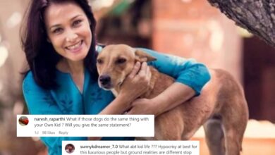 Amala Akkineni's message to protect dogs sparks outrage after Hyderabad incident
