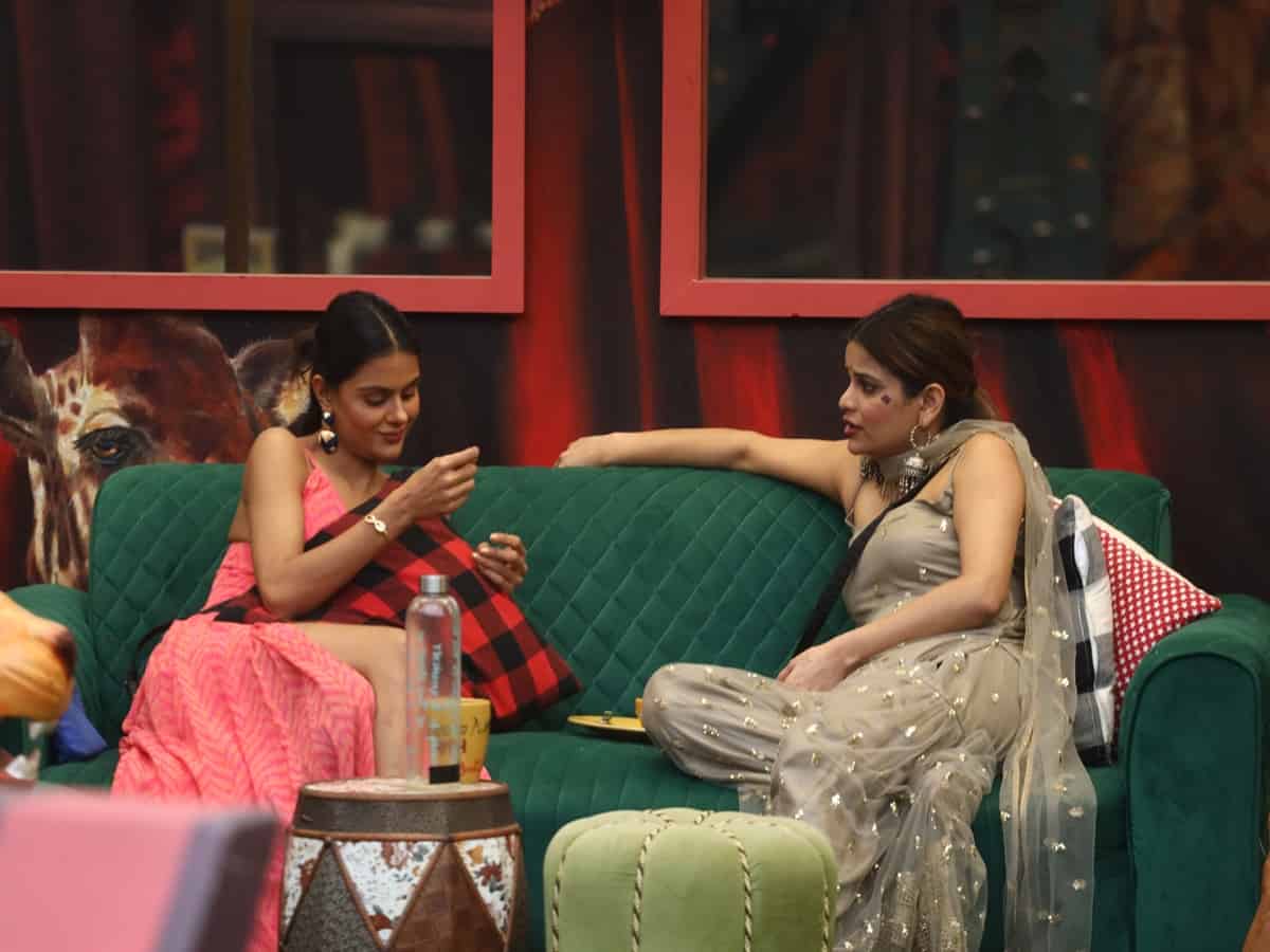 Bigg Boss 16: Show gets its 4 finalists, check names