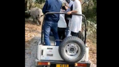 rhino attack in North Bengal