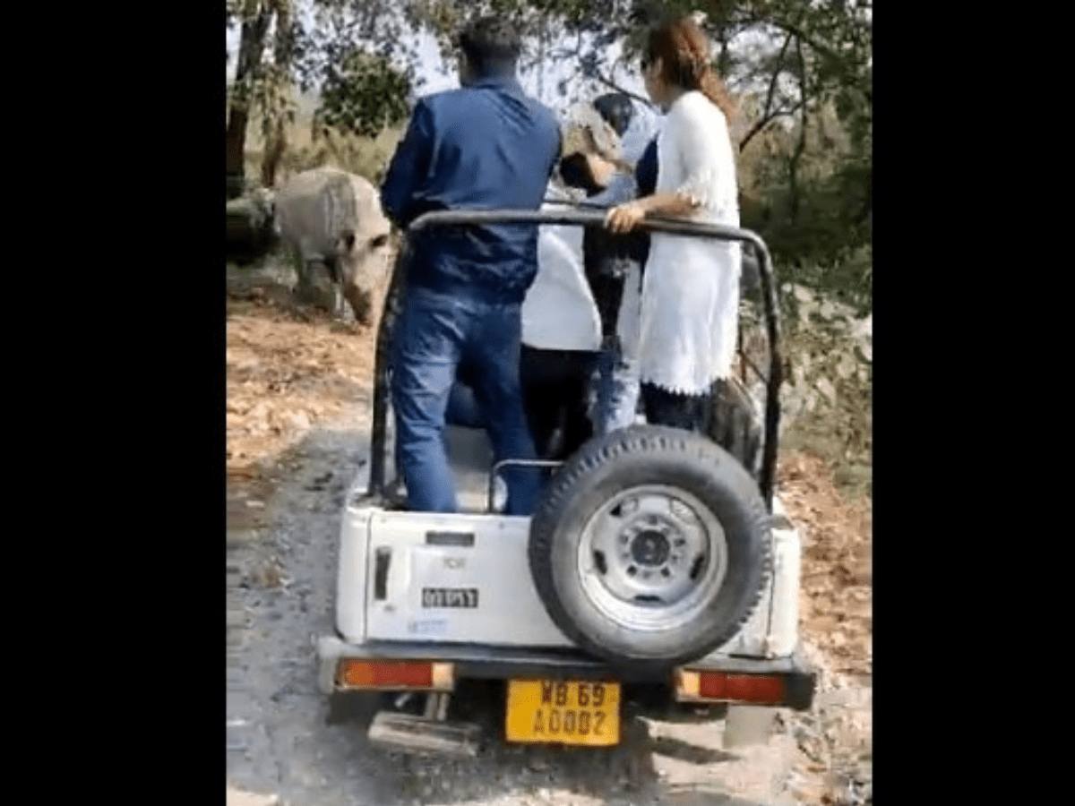 rhino attack in North Bengal