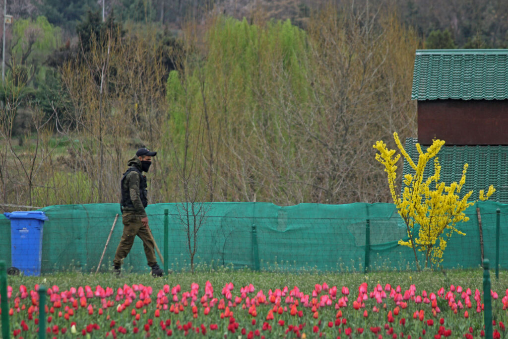 Tulip Garden, Kashmir