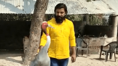 Video: UP man's sarus crane taken away by forest officials