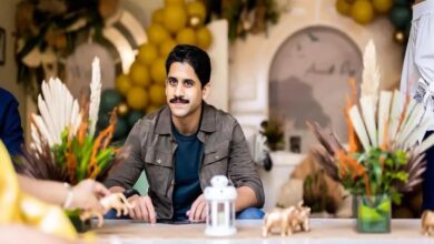 Price of Naga Chaitanya's new property in Jubilee Hills, Hyderabad