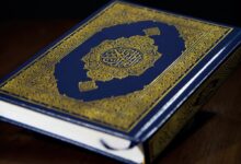 Extremists burned copy of Quran, Turkish flag in Denmark
