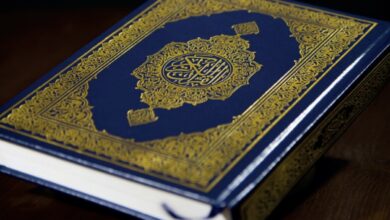 Extremists burned copy of Quran, Turkish flag in Denmark