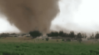 Watch: Massive sand tornado hit Taif in Saudi Arabia