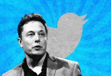 Ex-Twitter Blue project head breaks silence, days after Musk fired her