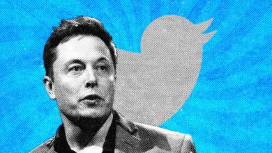 Ex-Twitter Blue project head breaks silence, days after Musk fired her