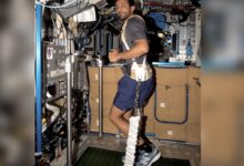 Video: UAE astronaut Sultan Al Neyadi treadmill in space