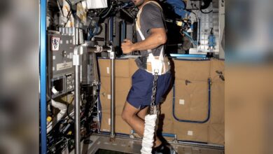 Video: UAE astronaut Sultan Al Neyadi treadmill in space