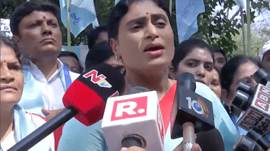 Rahul Gandhi’s elimination from LS: YS Sharmila calls decision bizarre