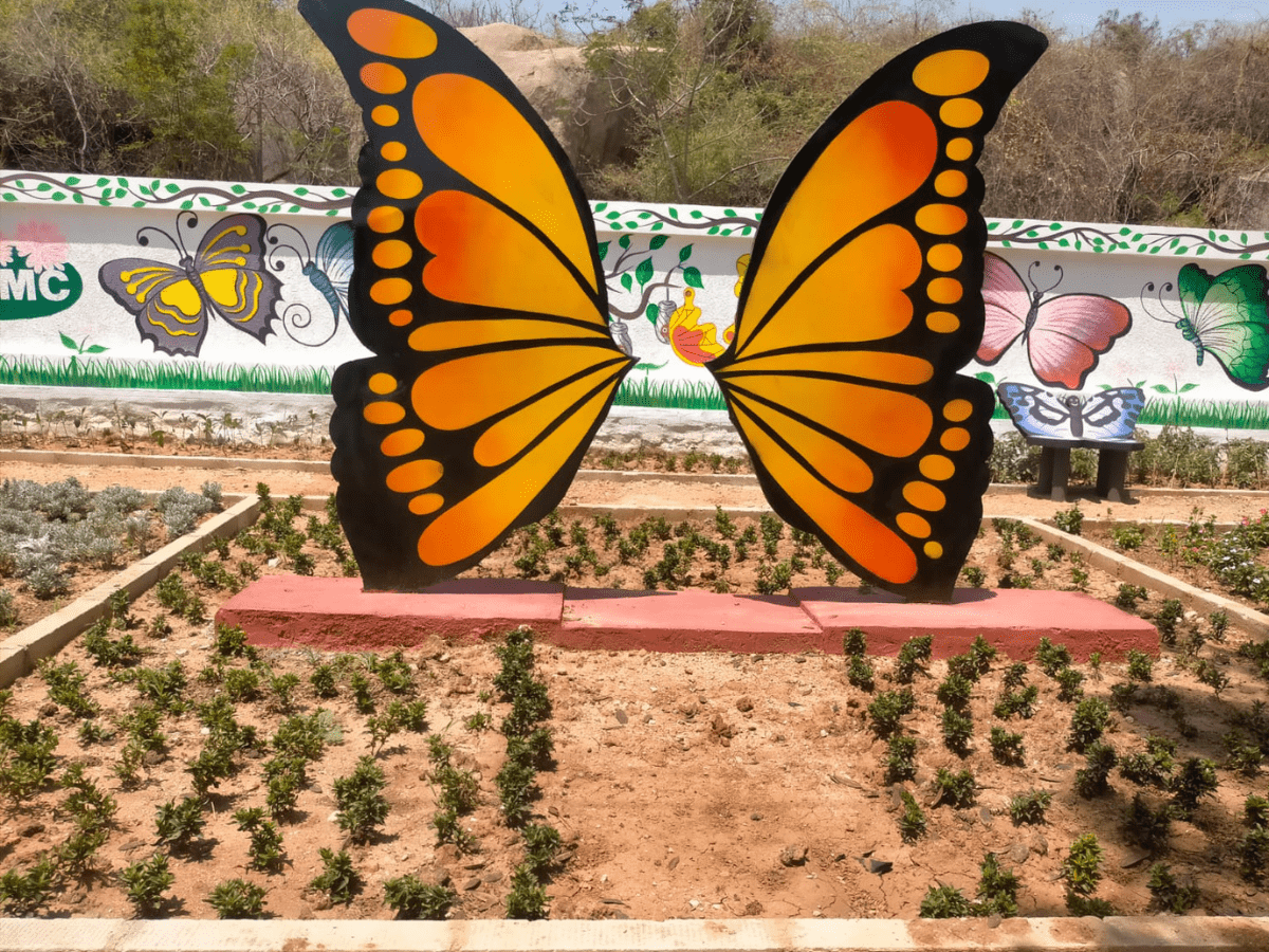 Hyderabad: Butterfly Park to unfold at KPHB